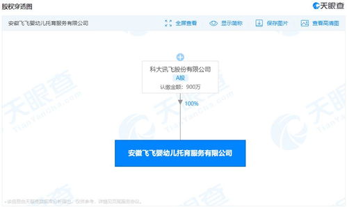 科大讯飞布局婴幼儿托育服务，信息系统集成助力多元化发展